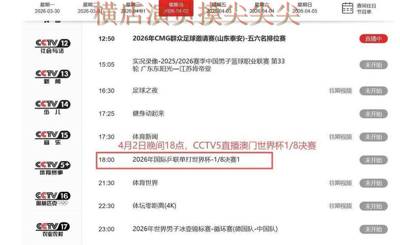 世界杯实时直播背景下的世界杯买球平台全面分析与用户反馈直播解析