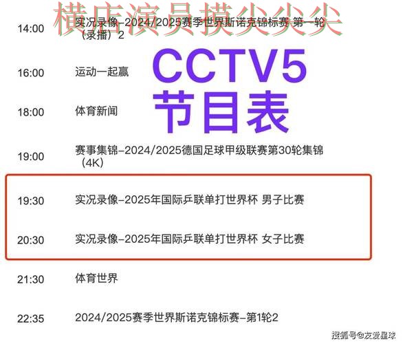世界杯实时直播背景下的世界杯买球平台全面分析与用户反馈直播解析